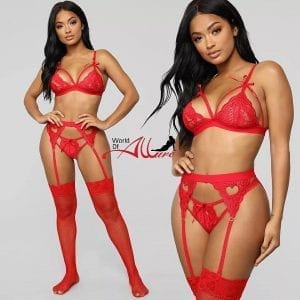 Monae 3 Piece Set Lingerie with Mesh
