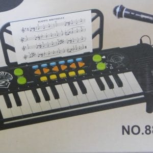 Electronic Organ / Keyboard with functioning Microphone