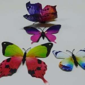 Decoration:- Multi-coloured Butterflies, Plastic, Flexible Wings (they move with the wind)